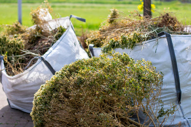 Same-Day Junk Removal Services in Limestone Creek, FL